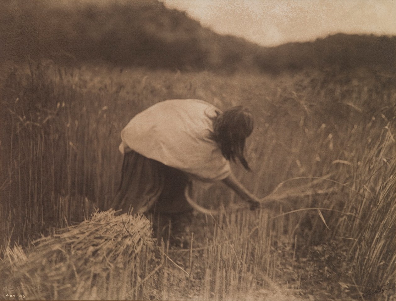 The Apache Reaper by Edward S. Curtis