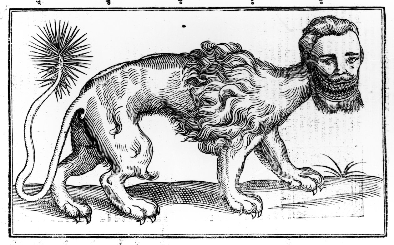 Manticore from 