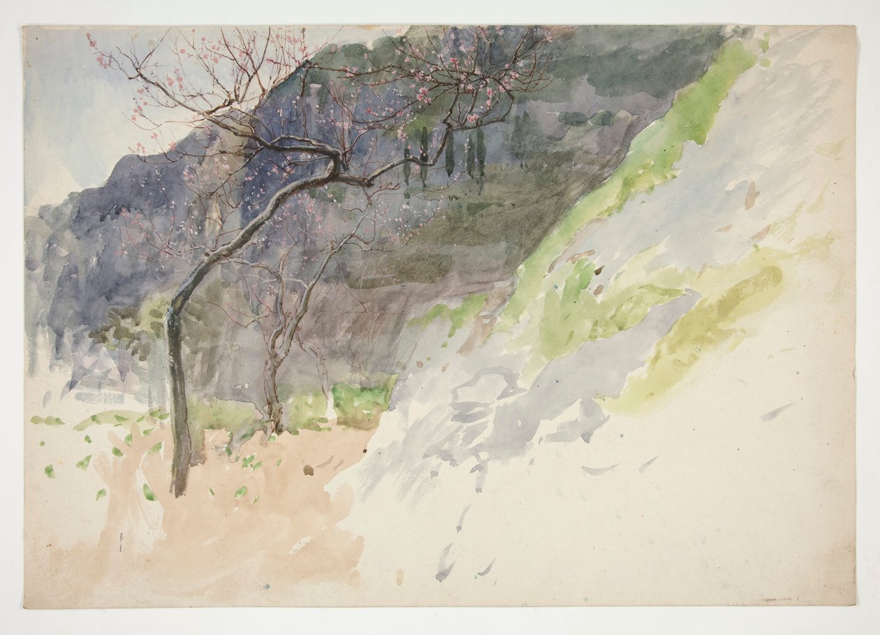 Mountainous landscape with budding trees