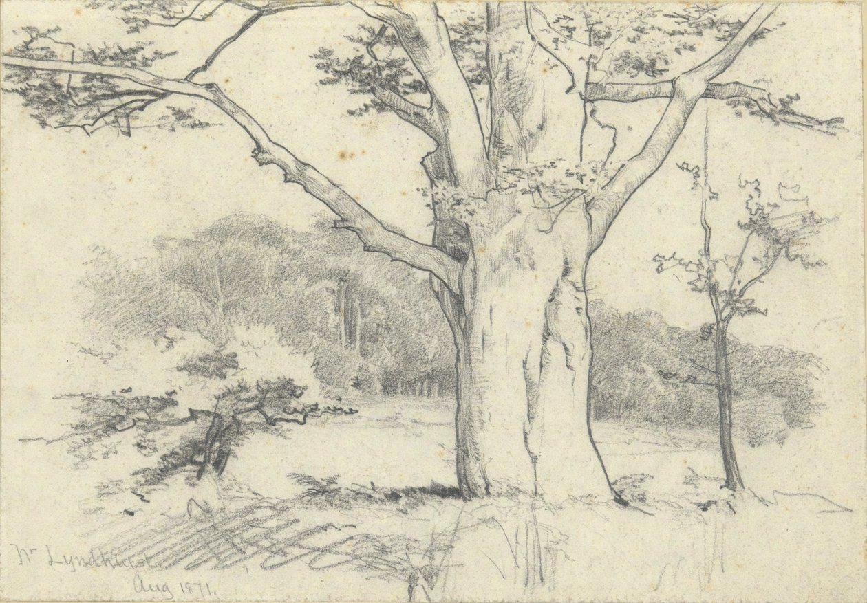 Near Lyndhurst, August 1871 by Edwin Austin Abbey