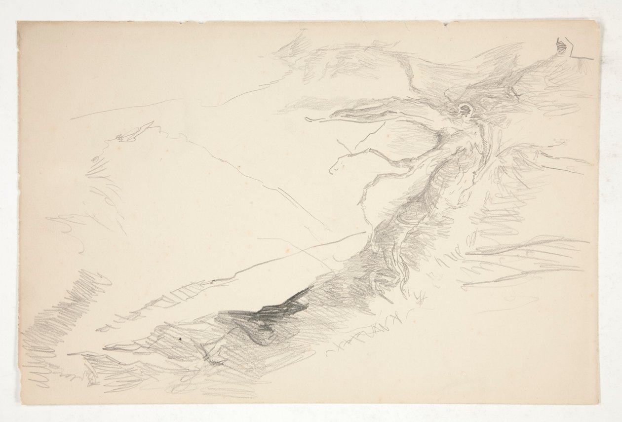 Sketch of a Tree by Edwin Austin Abbey