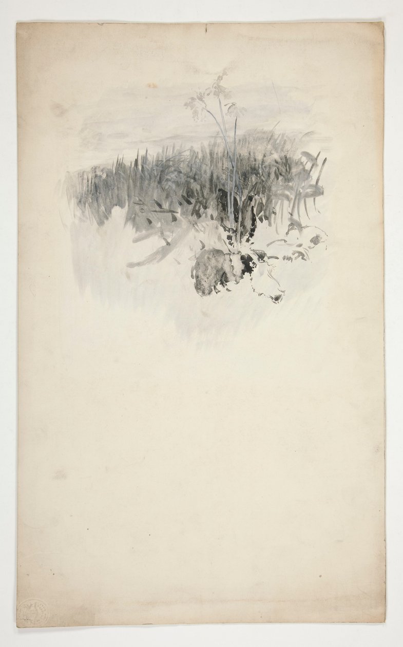 Sketch of a Young Tree, a Field by Edwin Austin Abbey
