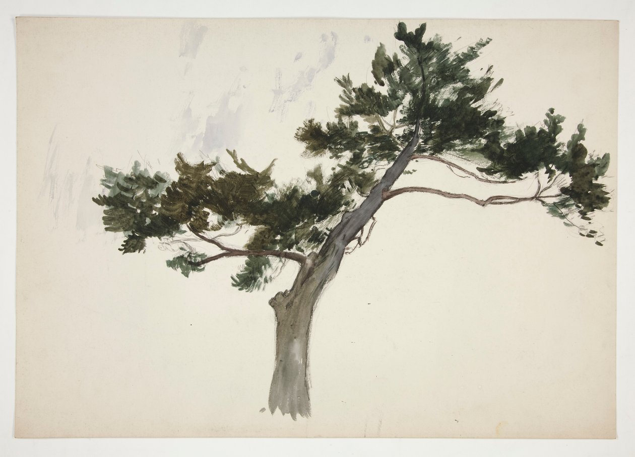 Study of a Tree by Edwin Austin Abbey