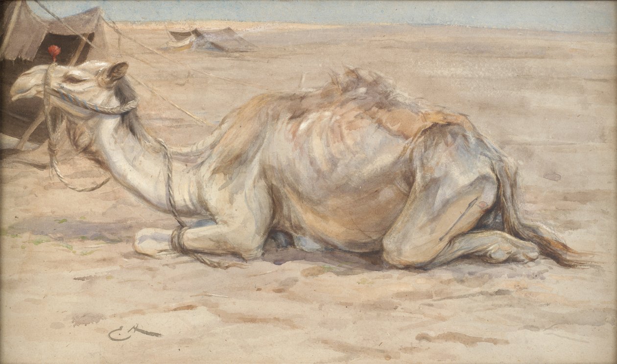 Camel at the Artists Camp with Bedouins by Edwin John Alexander
