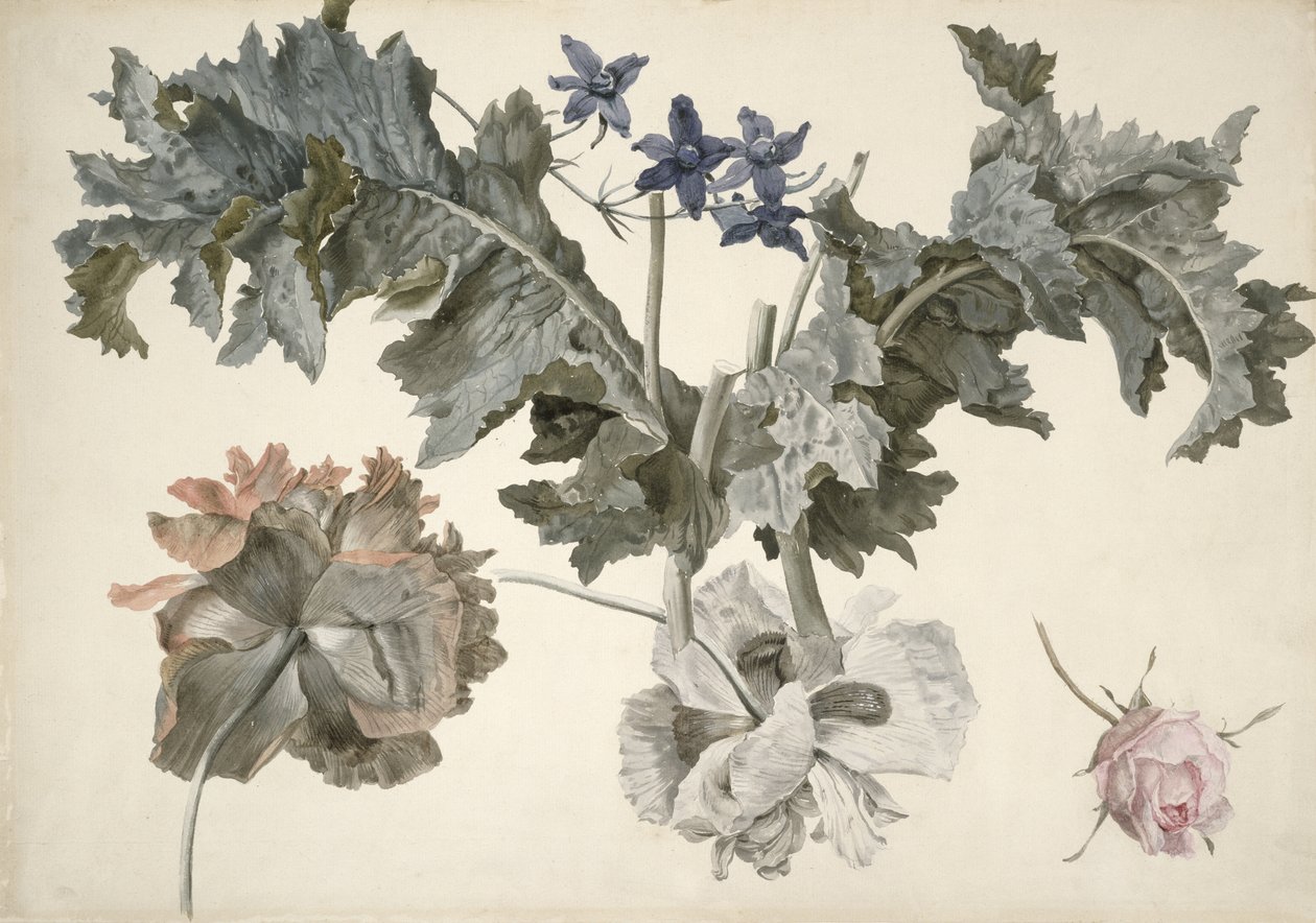 Double-Flowered Opium Poppies, Poppy Leaves, Delphinium and a Rosebud by Eelke Jelles Eelkema
