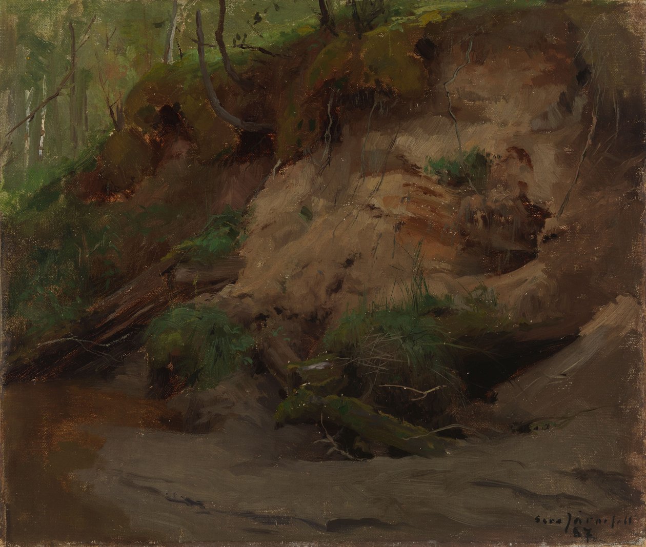 Forest with a Sandy Slope by Eero Järnefelt