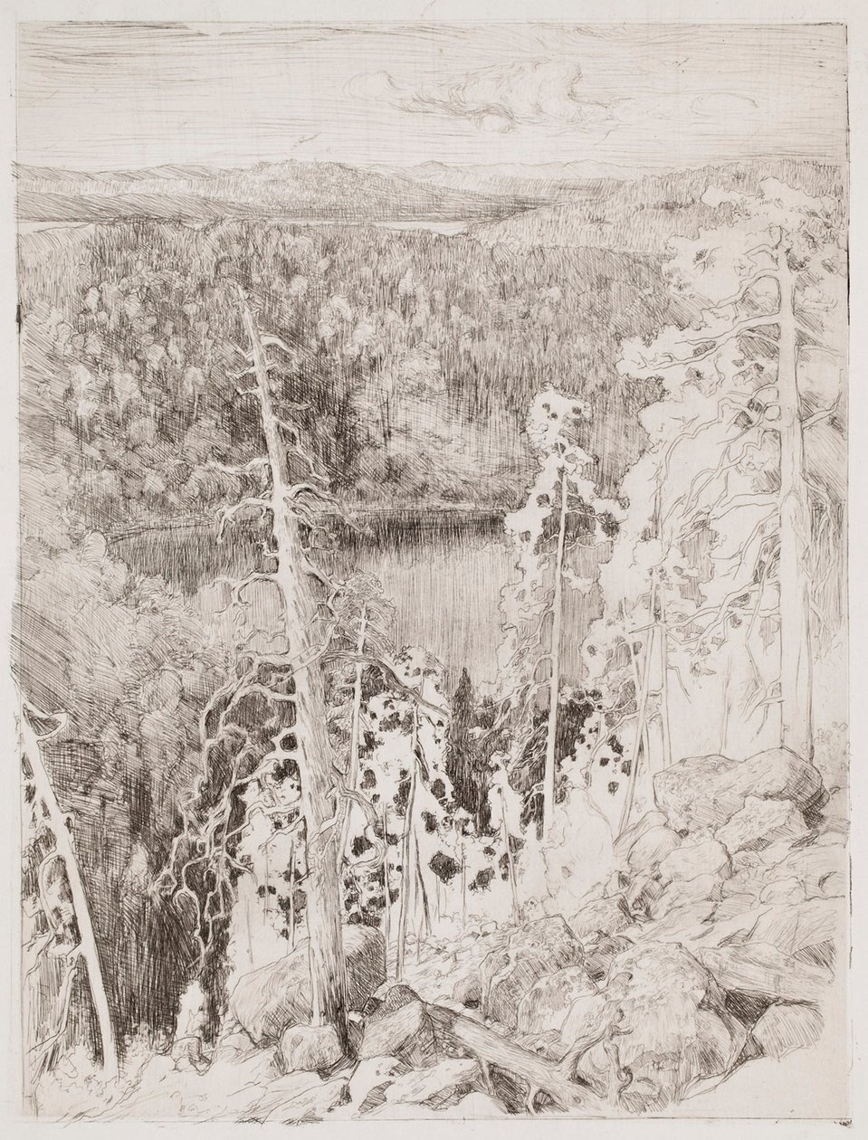 Landscape from Koli; Forest Landscape from Räsävaara by Eero Järnefelt
