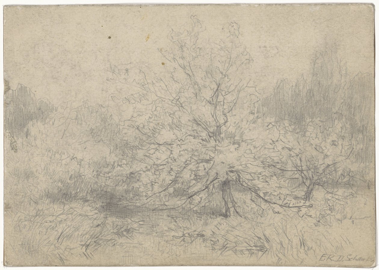 Landscape with a Tree Prominently in the Middle by Egbert Rubertus Derk Schaap