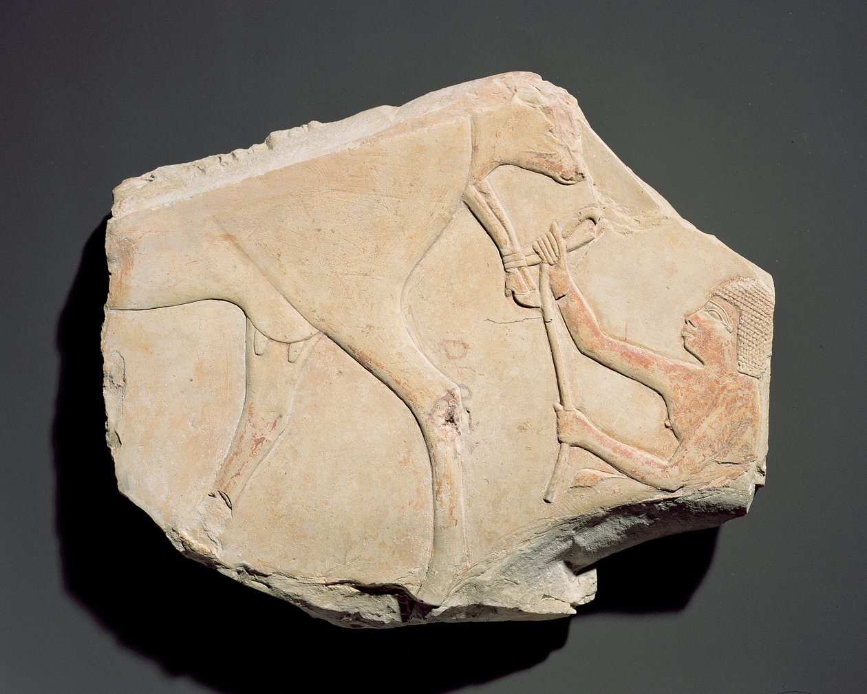 Fragment of a Relief Depicting the Birth of a Calf, from Asasif, Thebes by Egyptian