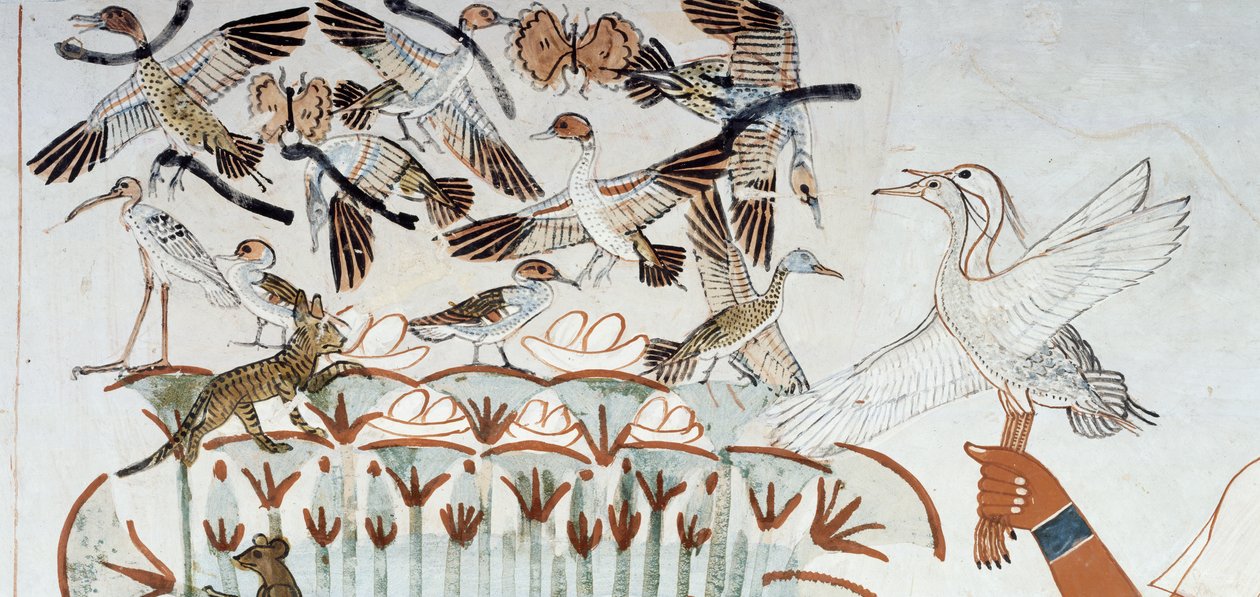 Ducks, nests, butterflies, cats and rodents, (detail) from the scene of hunting and fishing in the marshes, fresco, north wall, longitudinal chamber, Theban Tomb TT69, Sheikh Abd el-Qurna, Thebes. Egyptian civilization, New Kingdom, Dynasty XVIII by Egyptian 18th Dynasty