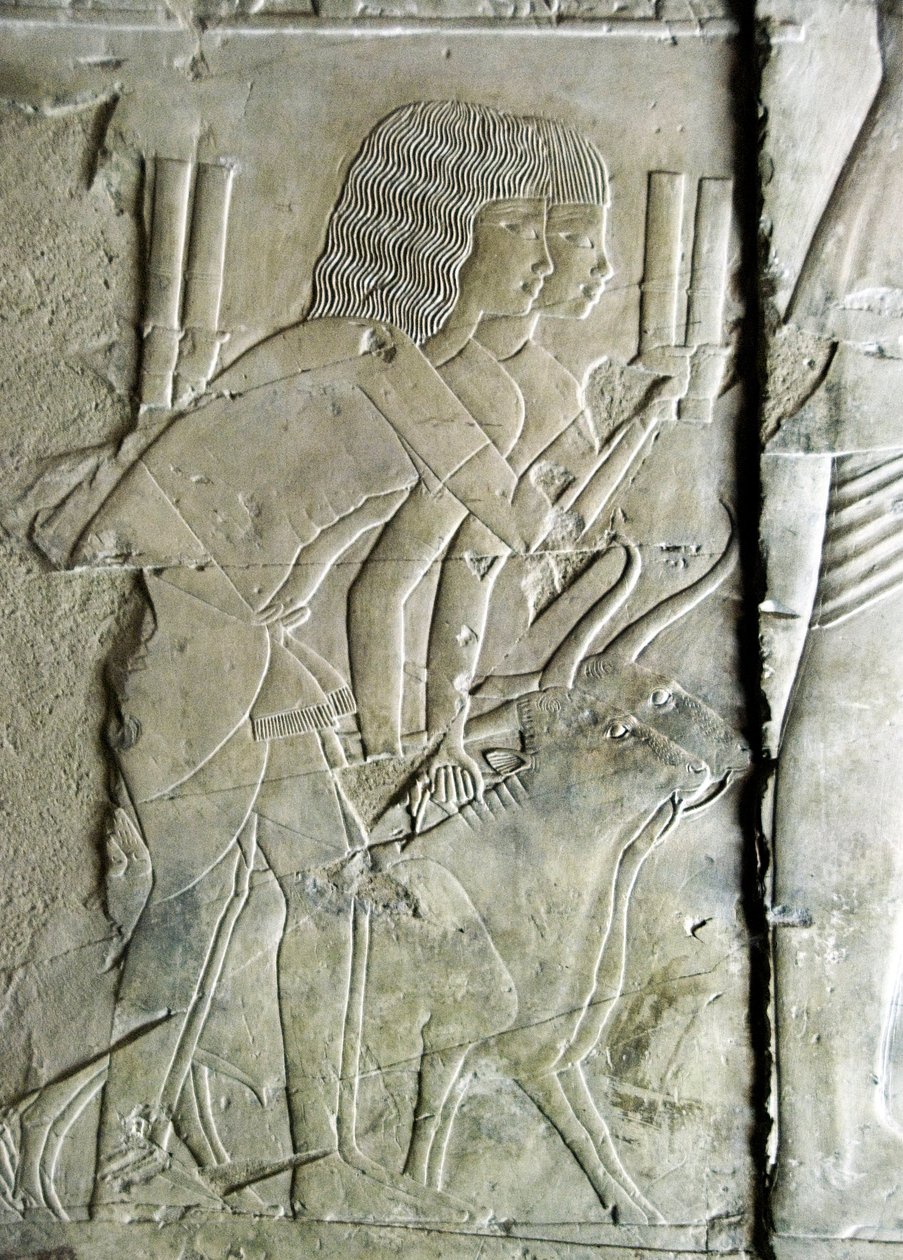Egyptian antiquity: connects from the tomb of Kha em Het, inspector of attics and scribe to the court of Amenophis III representing men offering beet heads as an offering. 18th dynasty. Luxor, West Bank, Egypt by Egyptian 18th Dynasty