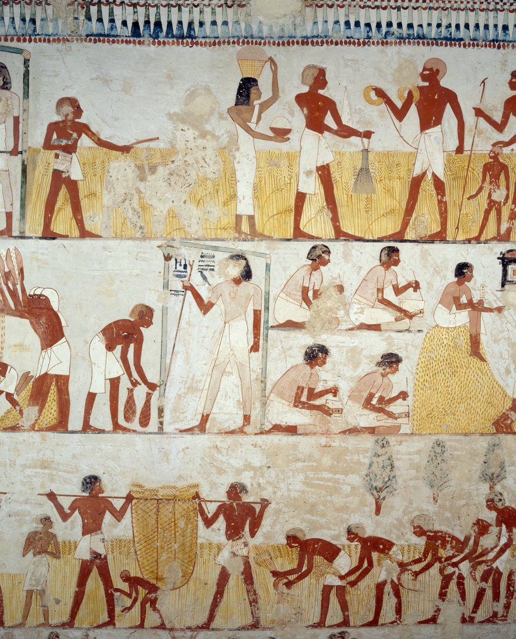 Harvesting crop, threshing and winnowing of grain, (detail) from frescoes in vestibule of Tomb of Menna, Sheikh Abd el Qurnah Necropolis, Luxor, Thebes by Egyptian 18th Dynasty
