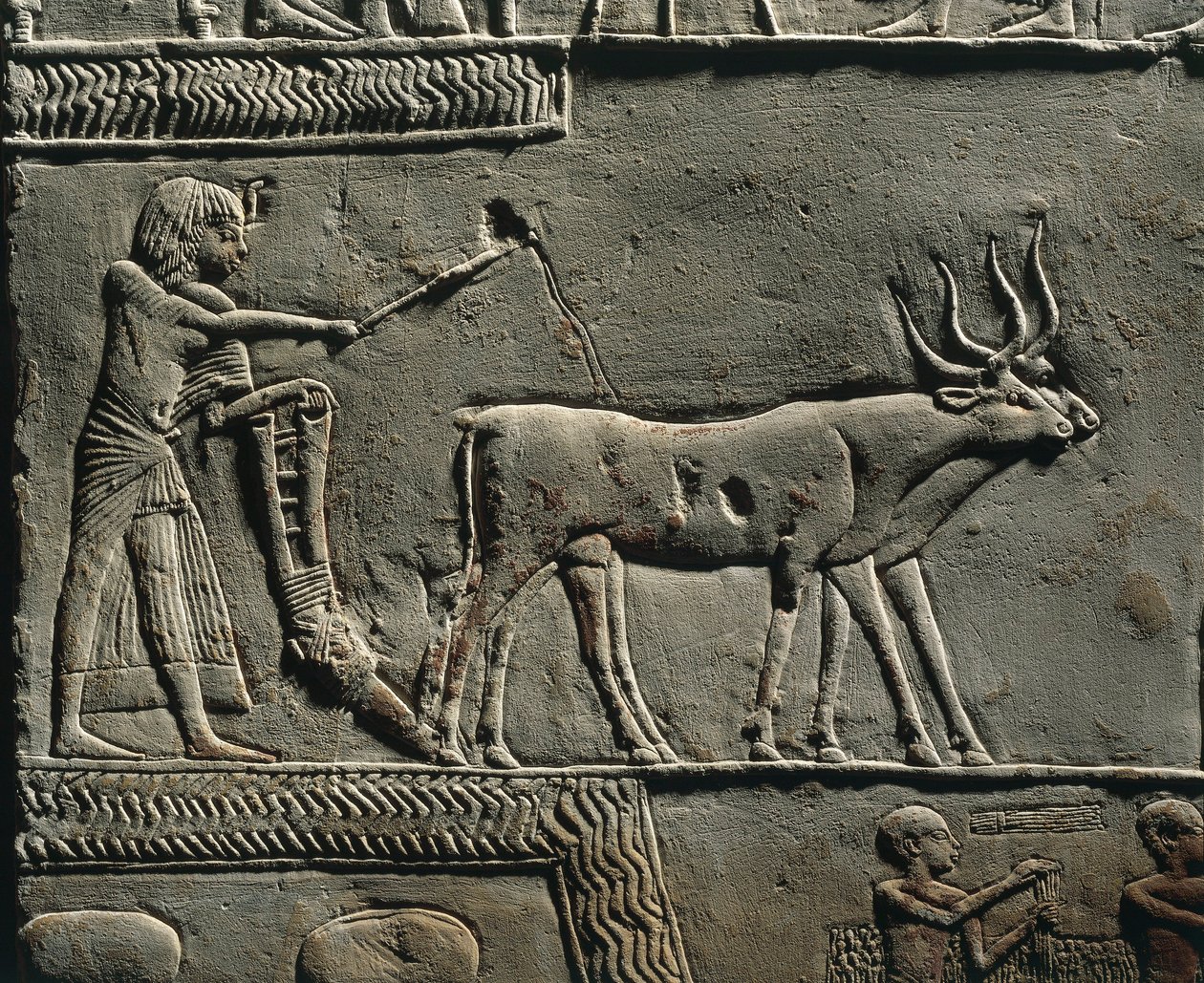 Horemheb ploughing land in the Fields of Iaru. Relief from the tomb of Horemheb at Saqqara (detail) by Egyptian 18th Dynasty
