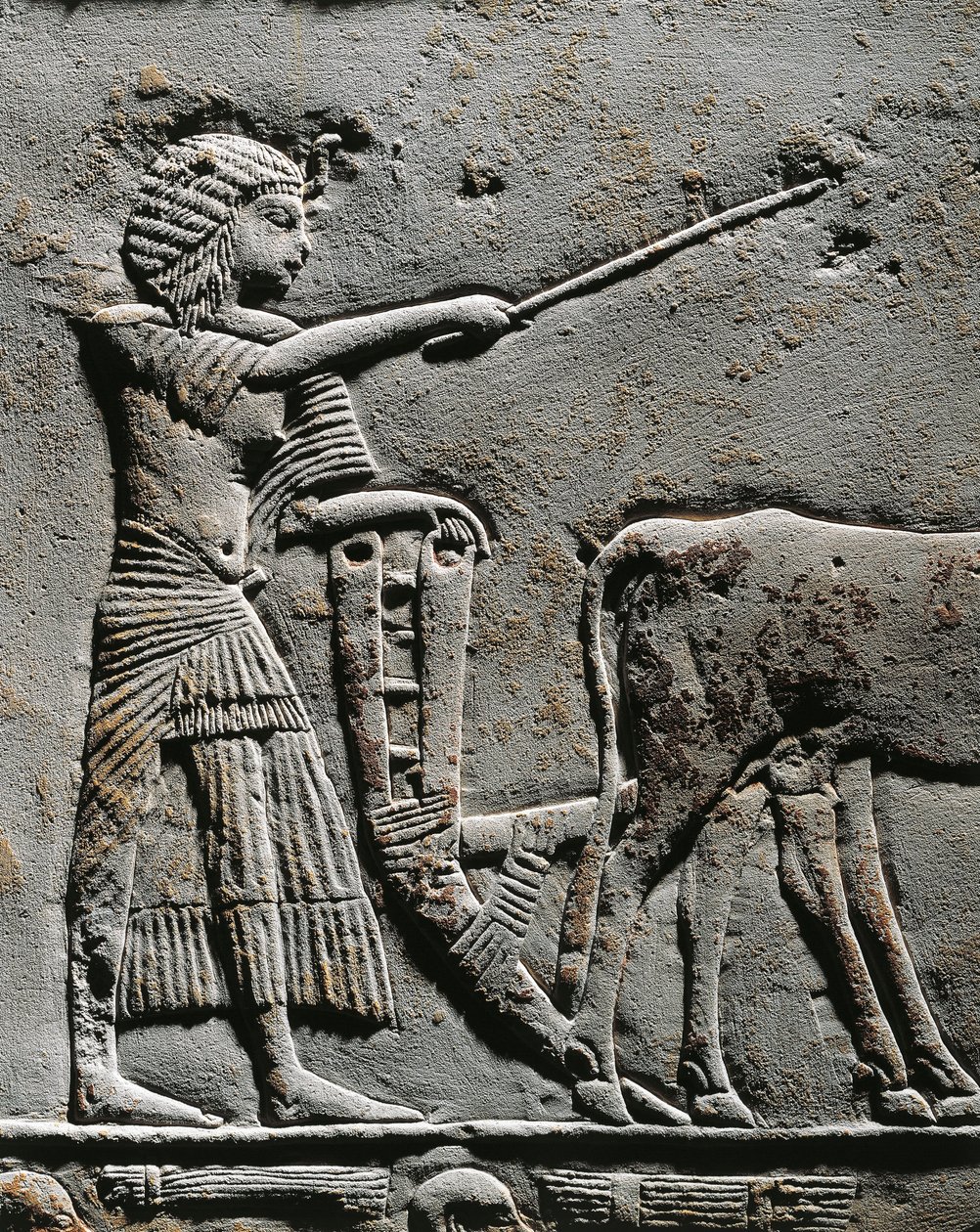 Horemheb ploughing land in the Fields of Iaru, relief from the tomb of Horemheb at Saqqara (detail) by Egyptian 18th Dynasty