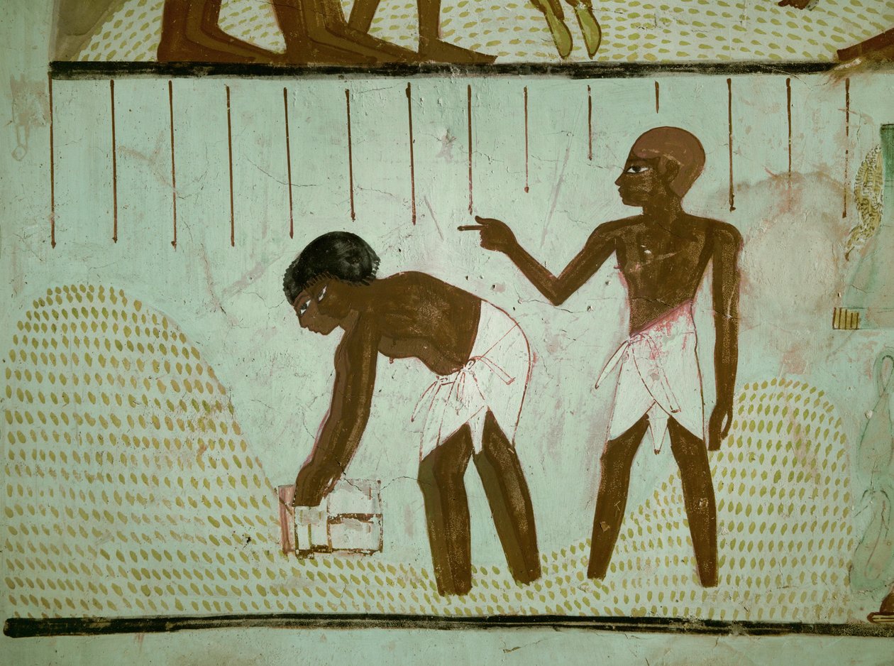 Men measuring corn by Egyptian 18th Dynasty