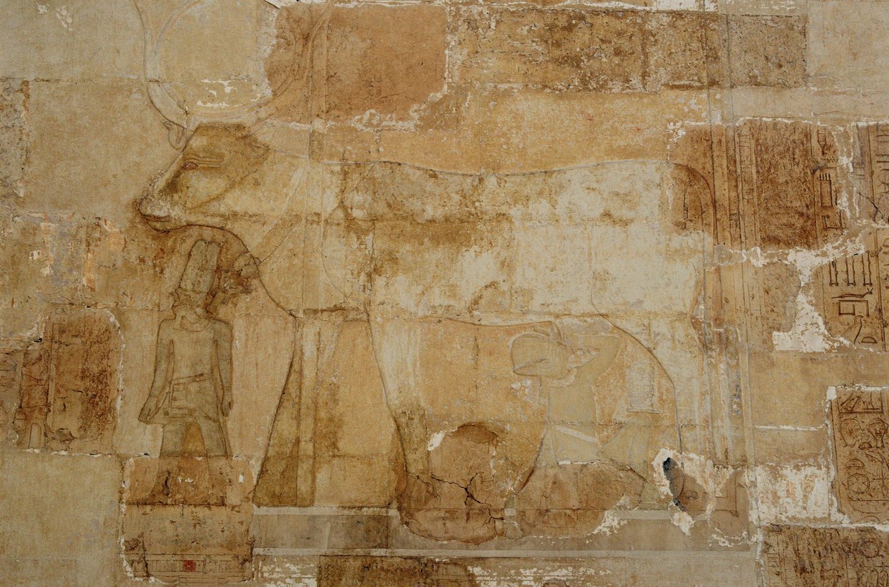 Mortuary Temple of Queen Hatshepsut: Hathor chapel, the goddess in her bovine form, with crown, is fed by Hatshepsut by Egyptian 18th Dynasty