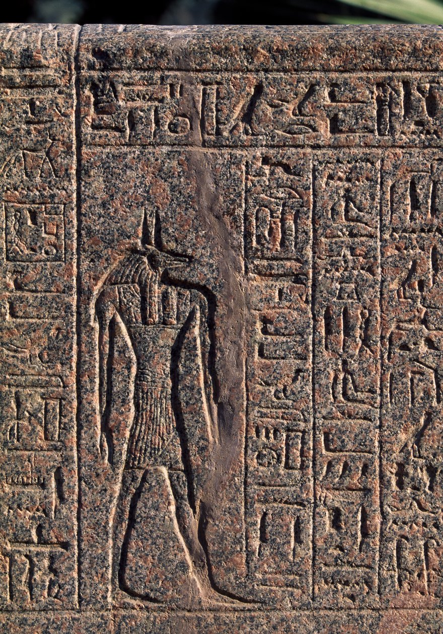 Depiction of Anubis (detail) by Egyptian 19th Dynasty