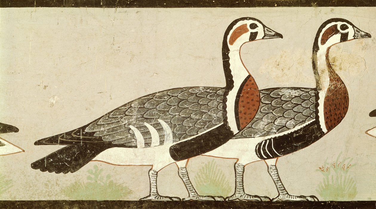 Meidum geese, from the Tomb of Nefermaat and Atet, Old Kingdom, c.2620 BC by Egyptian 4th Dynasty