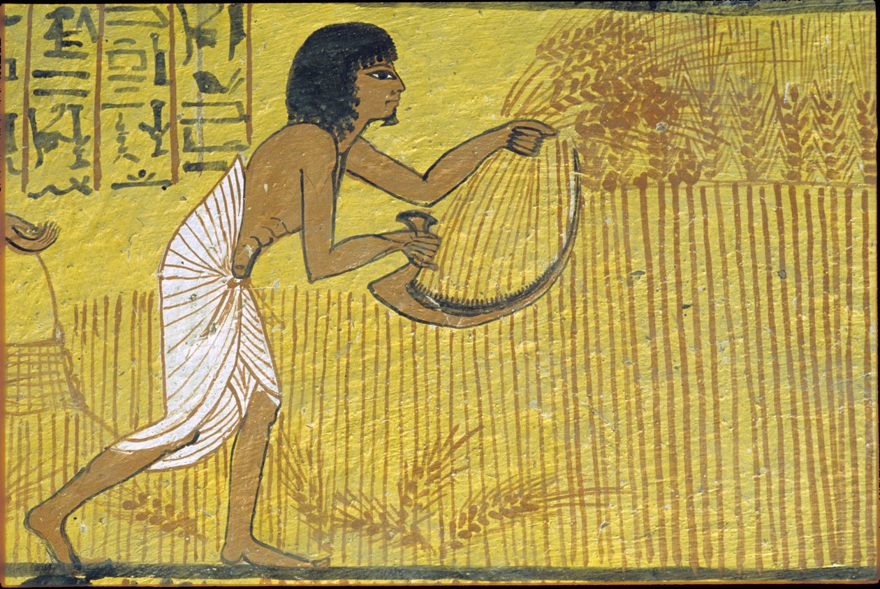Ancient Egypt, Wall Painting, Tomb of Sennedjem, Tomb of the Nobles, Thebes, Deir el Medina by Egyptian Egyptian