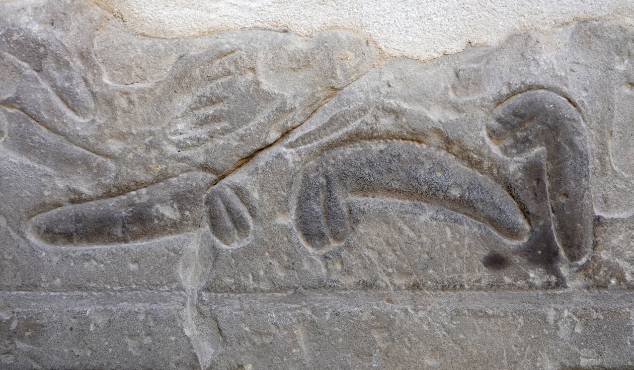 Piles of Severed Male Genitals, Temple of Horus, Edfu by Egyptian Egyptian
