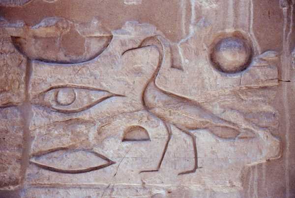 Hieroglyphics from a Column, Luxor Temple by Egyptian Egyptian