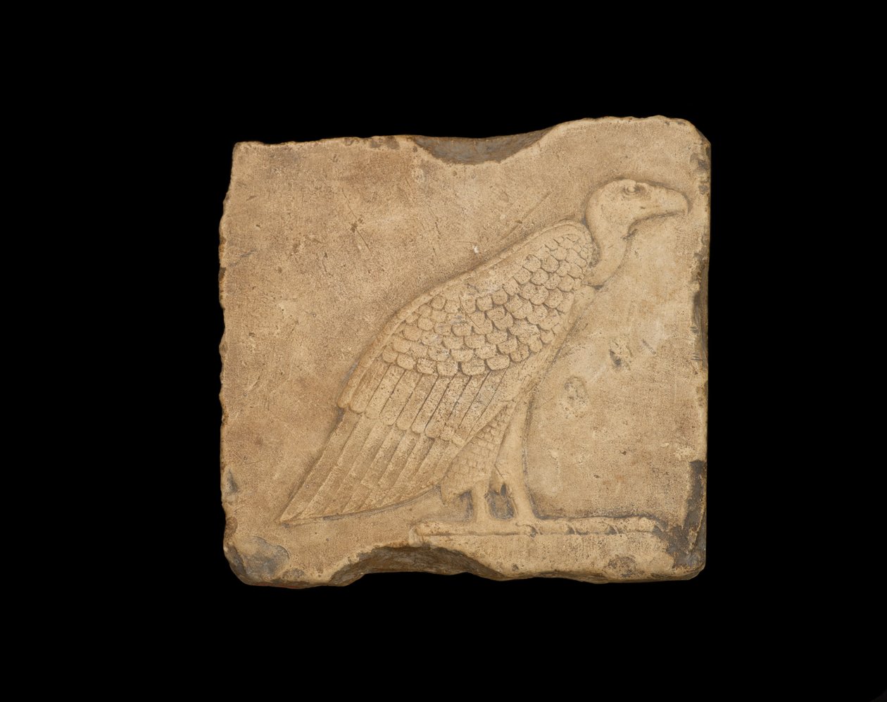 A Block with a Standing Vulture and an Owl in Low Relief by Egyptian Ptolemaic Period
