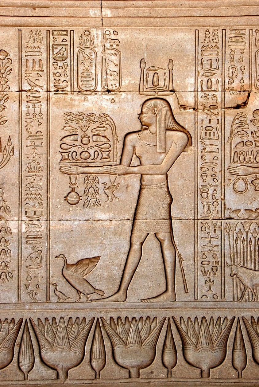 Gifts for the Gods, Images from Egyptian Temples main image 0