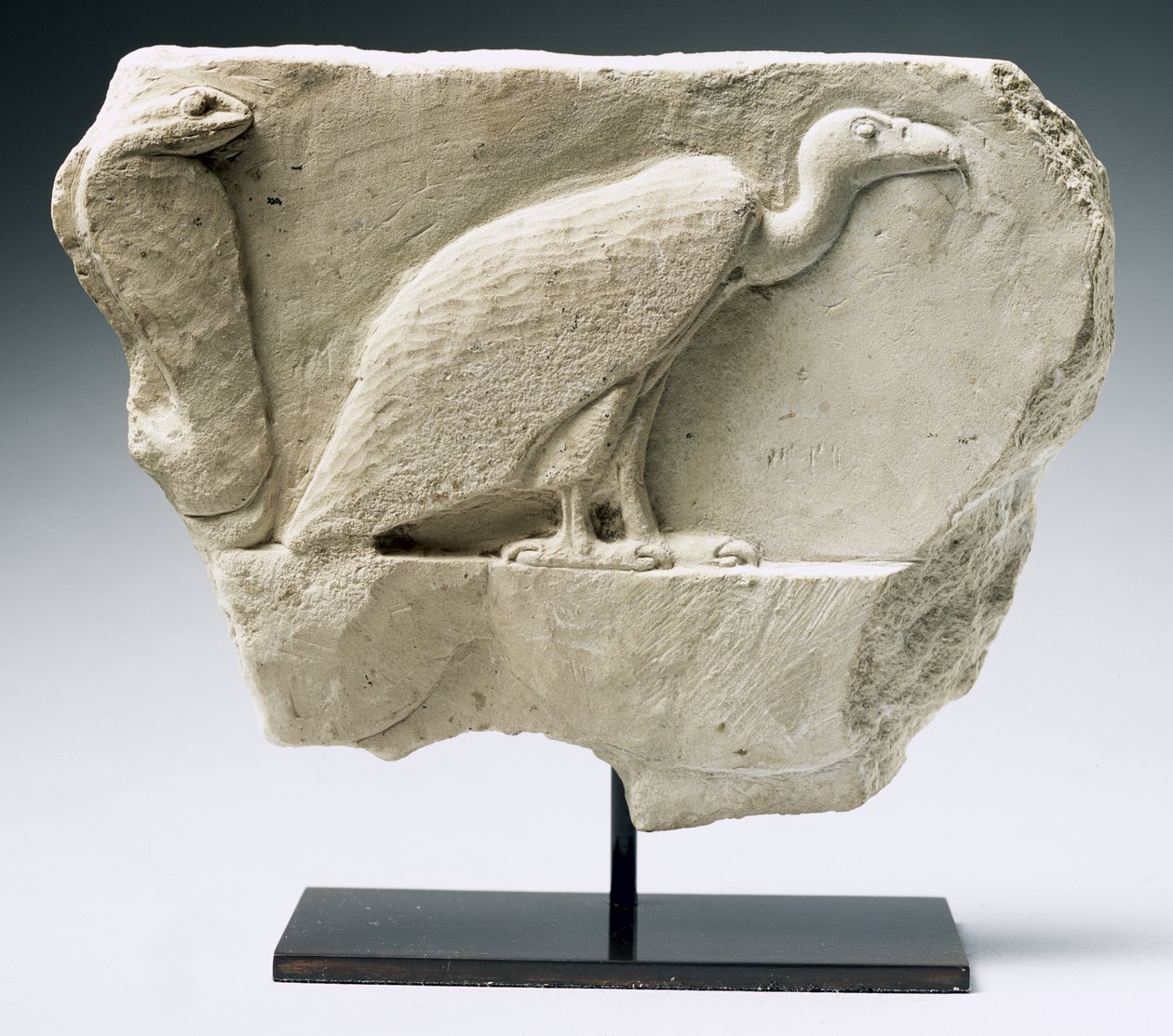 Relief Depicting a Vulture and Cobra (limestone) by Egyptian Ptolemaic Period