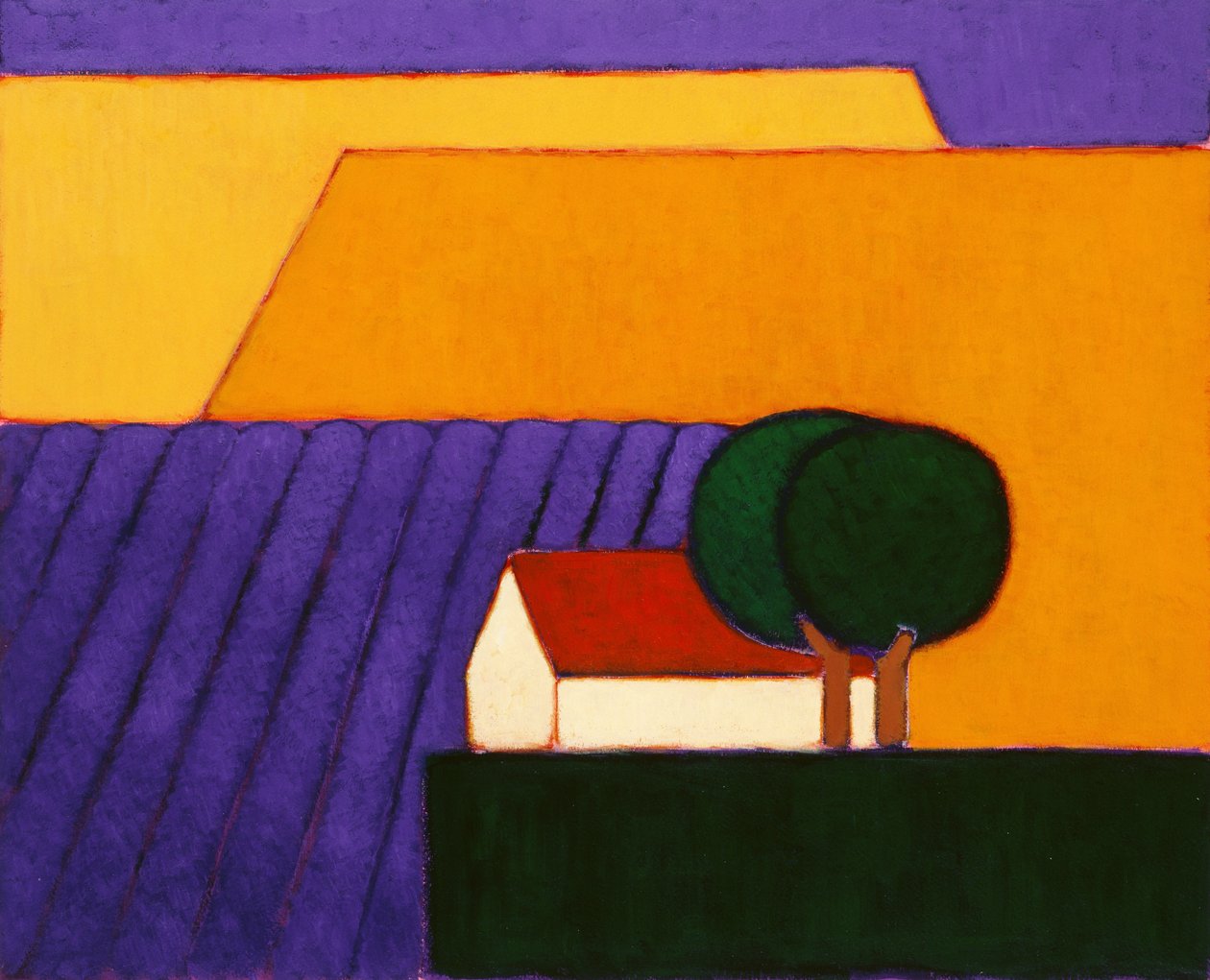 Lavender Field, Provence by Eithne Contemporary Artist Donne