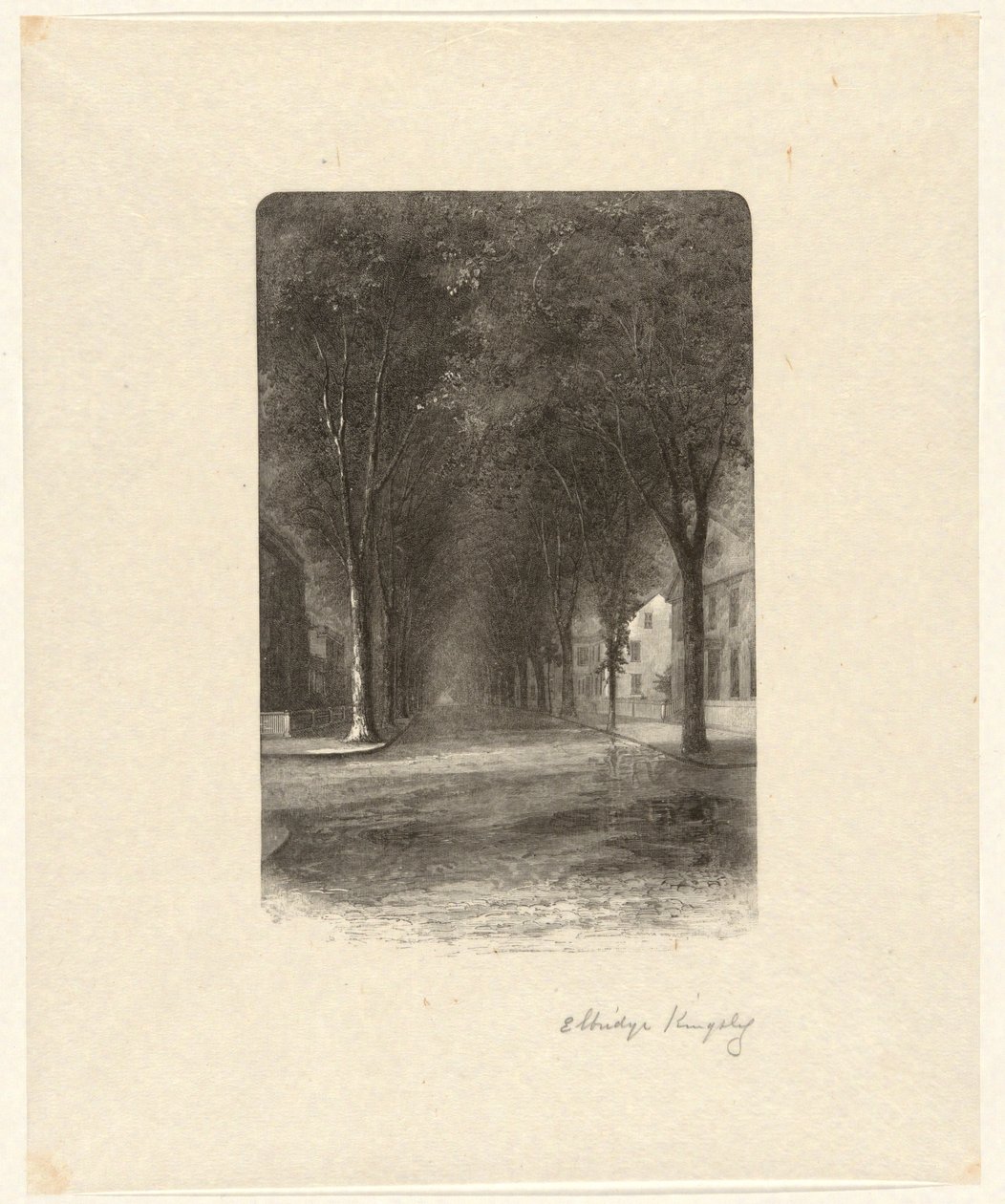 Untitled [Tree-Lined Street] by Elbridge Kingsley