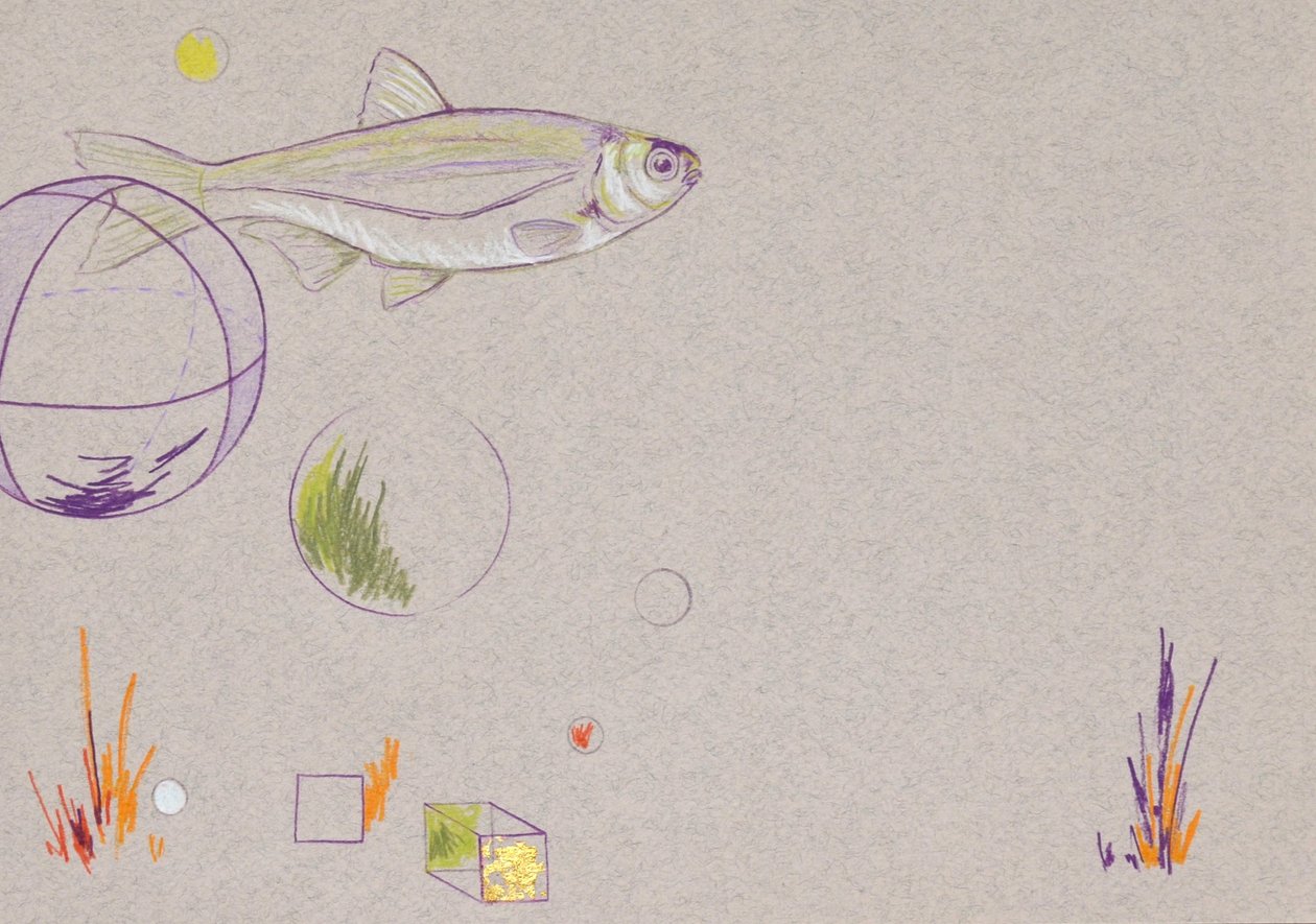 Floating, 2014 by Eleanor Grafton