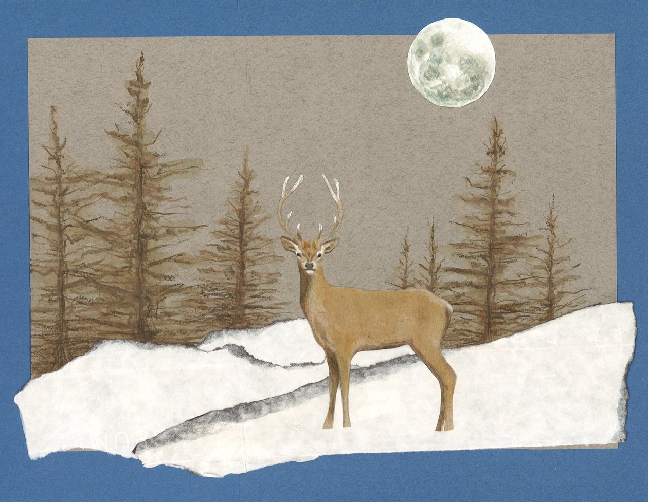Night Encounter, 2012 by Eleanor Grafton