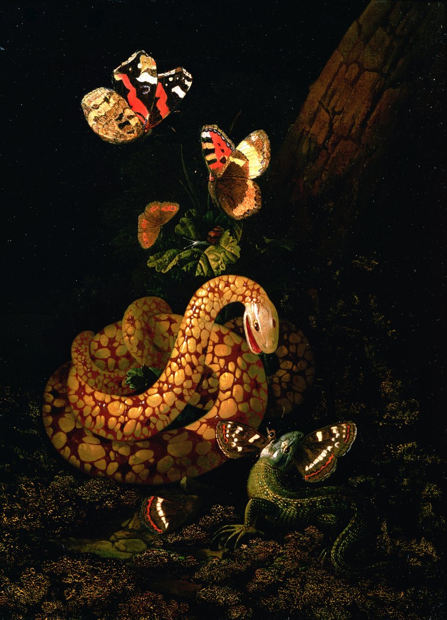 Still Life with Snake by Elias van den Broeck