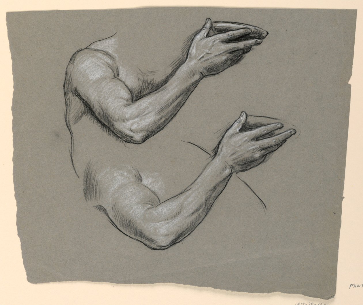 Details of Two Male Arms, ca. 1885 by Elihu Vedder