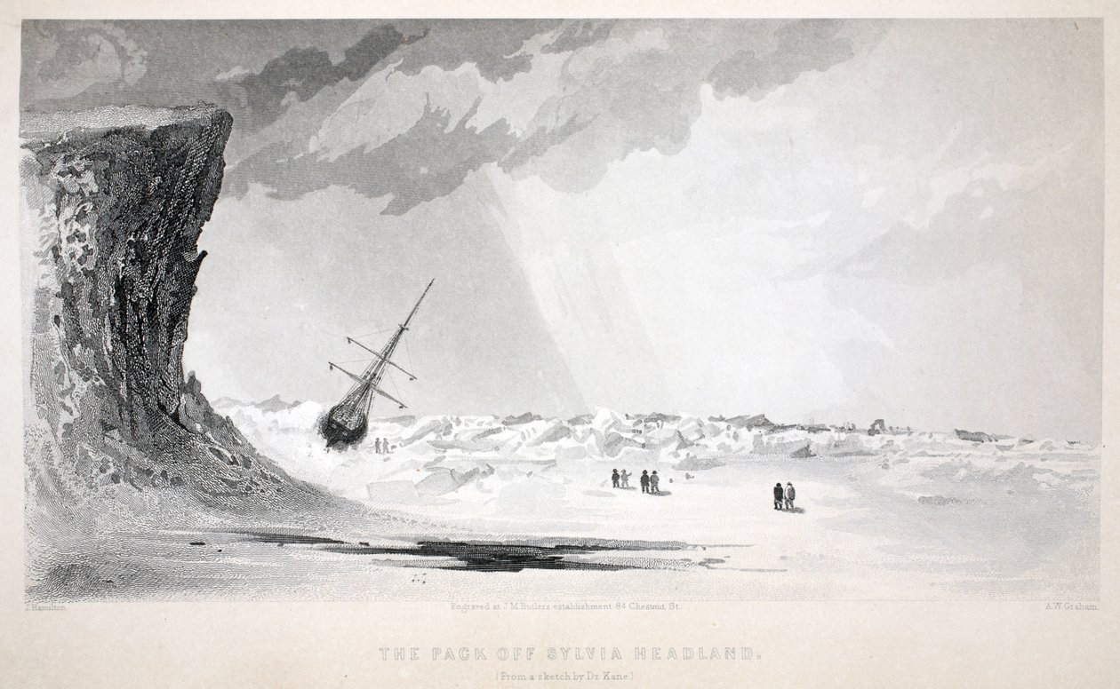 The Pack off Sylvia Headland, illustration from 