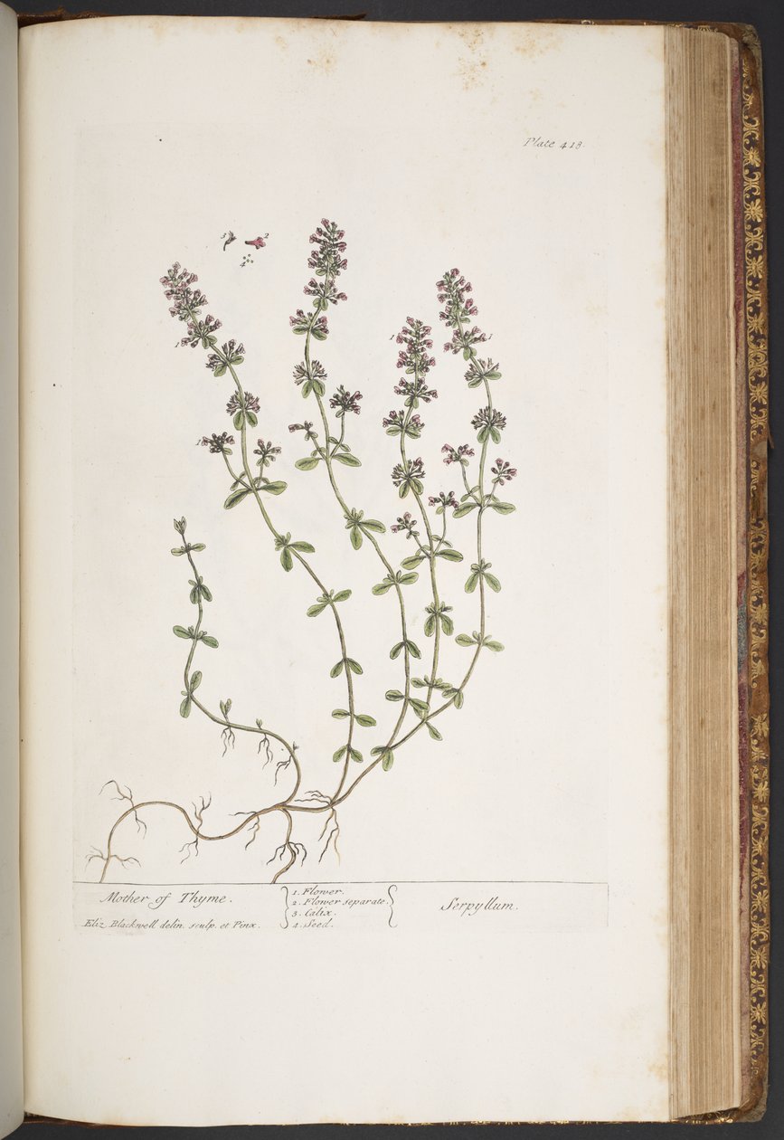 Plate 418, from 