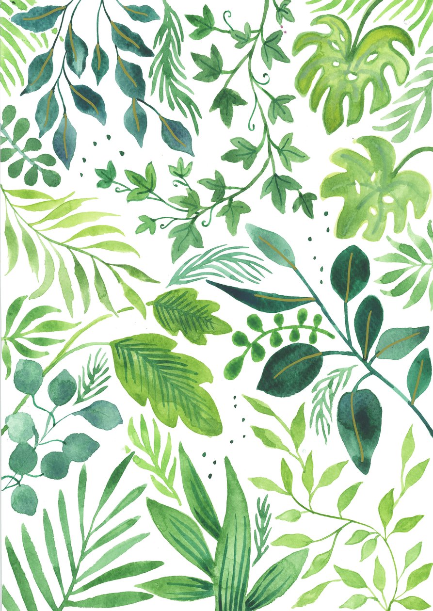 Leafy Medley, 2018 by Elizabeth Rider
