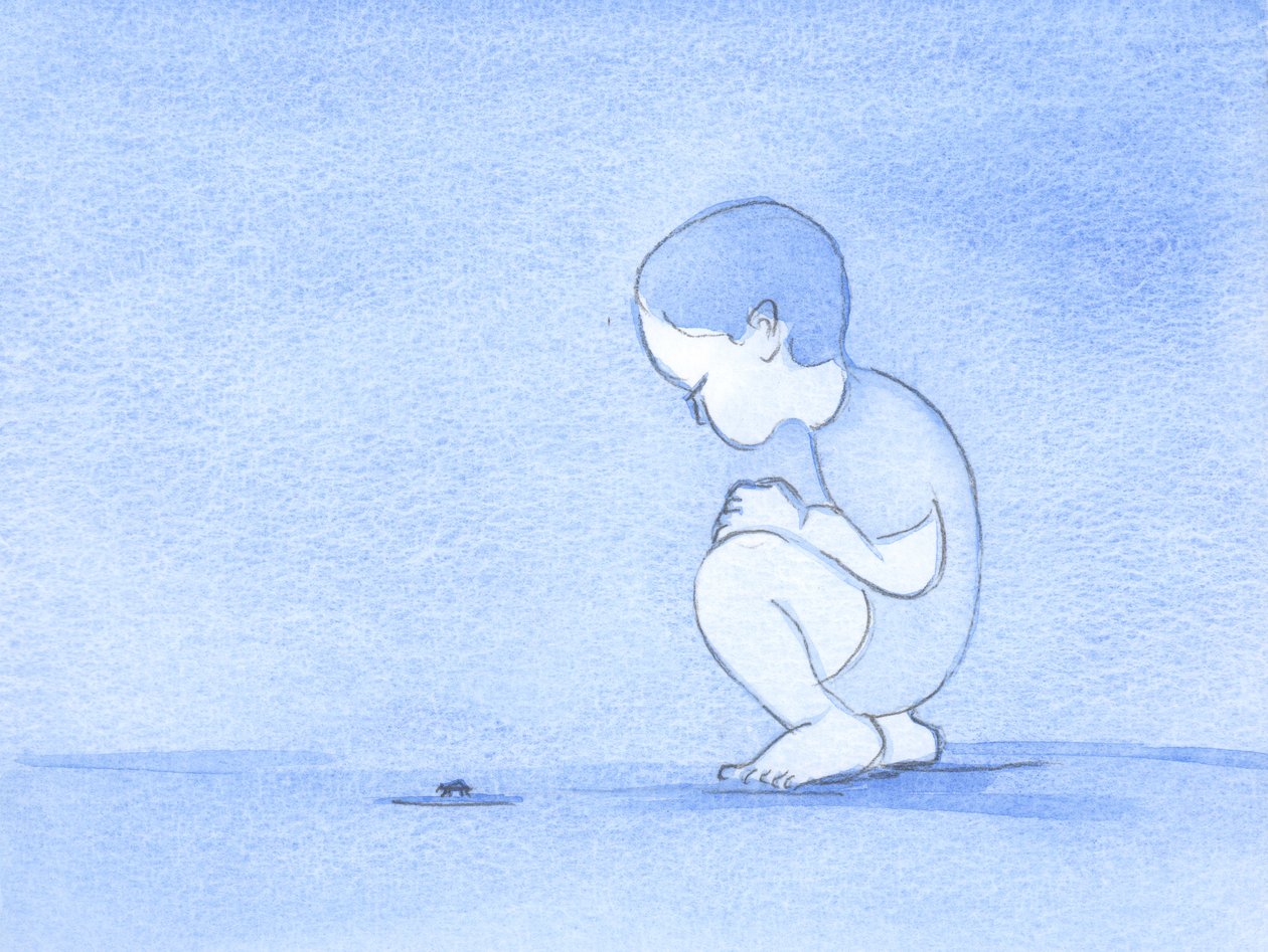 All strange creatures, like the insect this child observes, were made from God