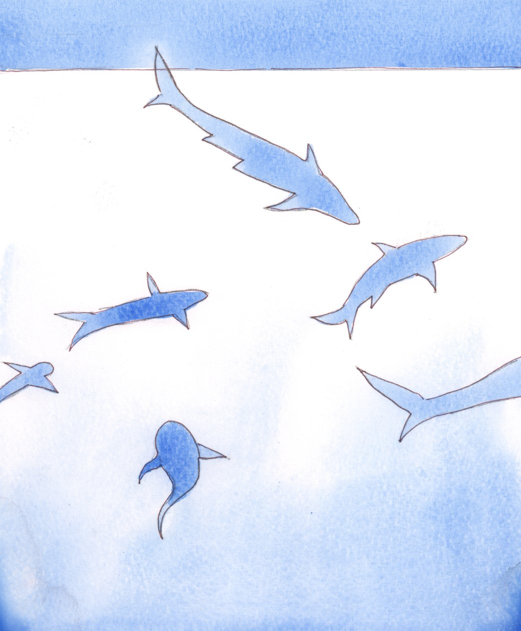 God created all that lives and breathes - even sharks and tarantulas, and other creatures that kill by Elizabeth Wang