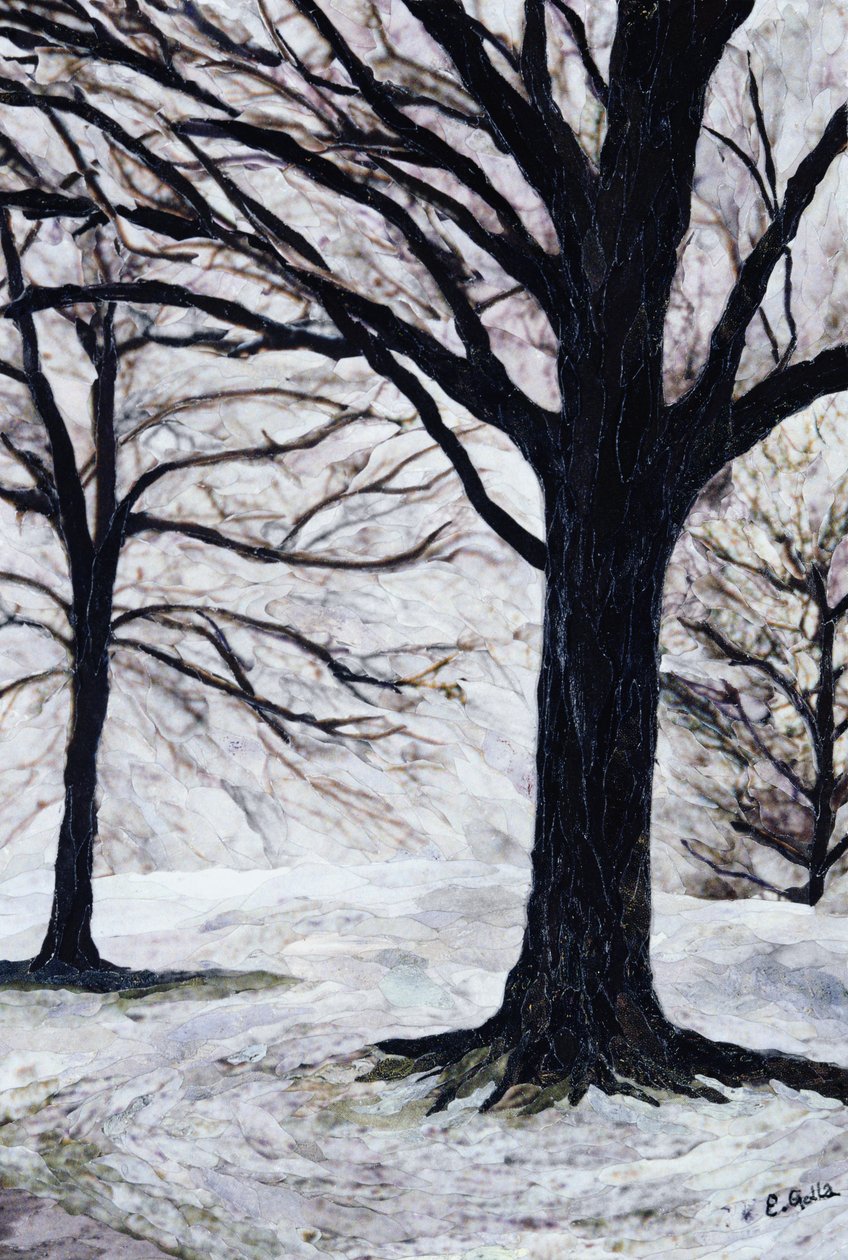 Winter Trees, Greenwich Park, 2004 by Ellen Golla