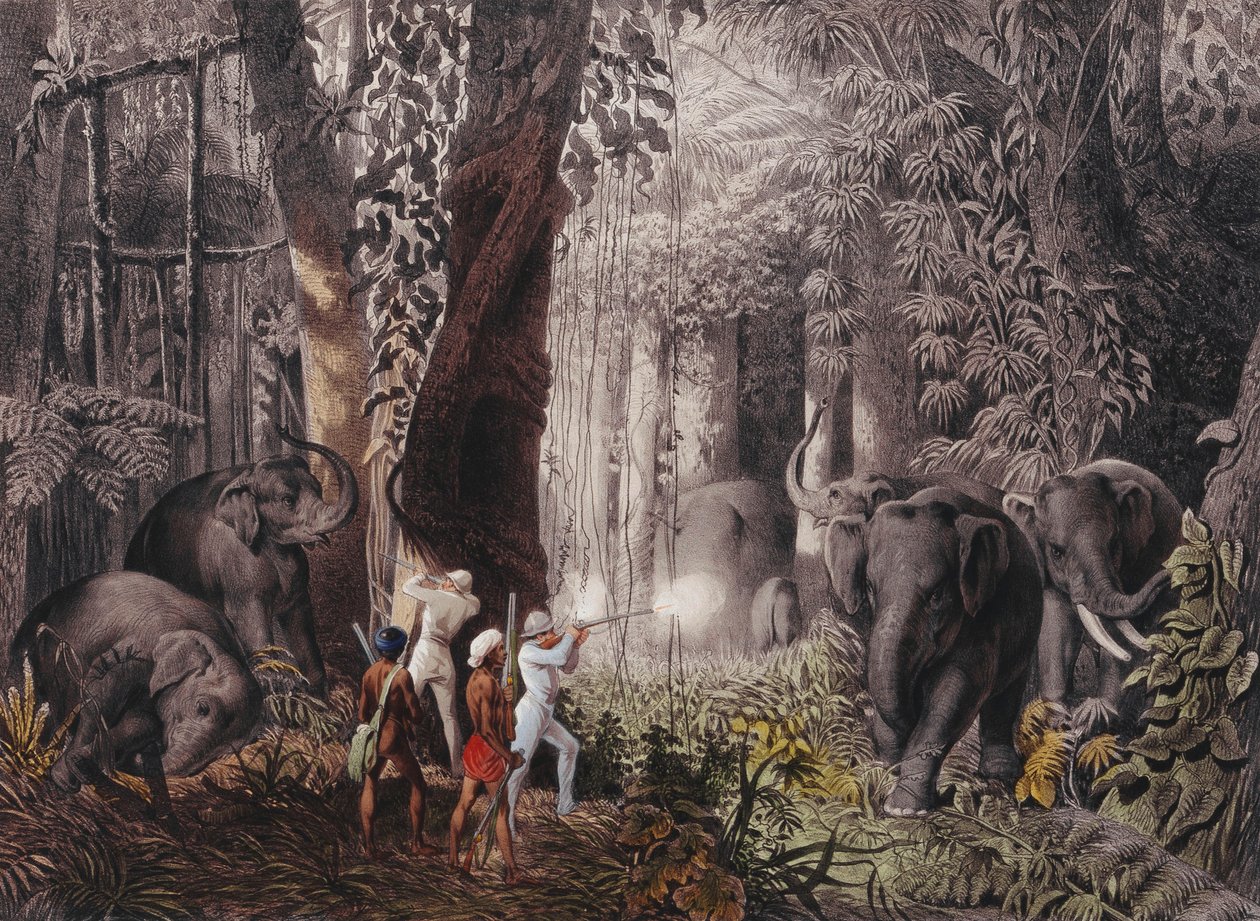 Journey... in East India, Ceylon, Java, China and Bengal by Emanuel Andrasy