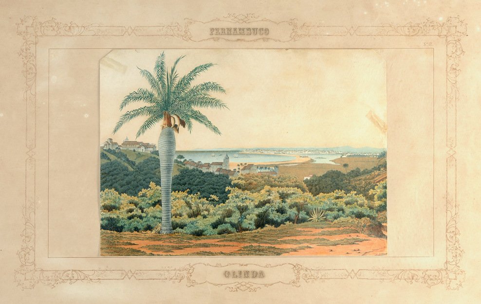 Olinda by Emil Bauch