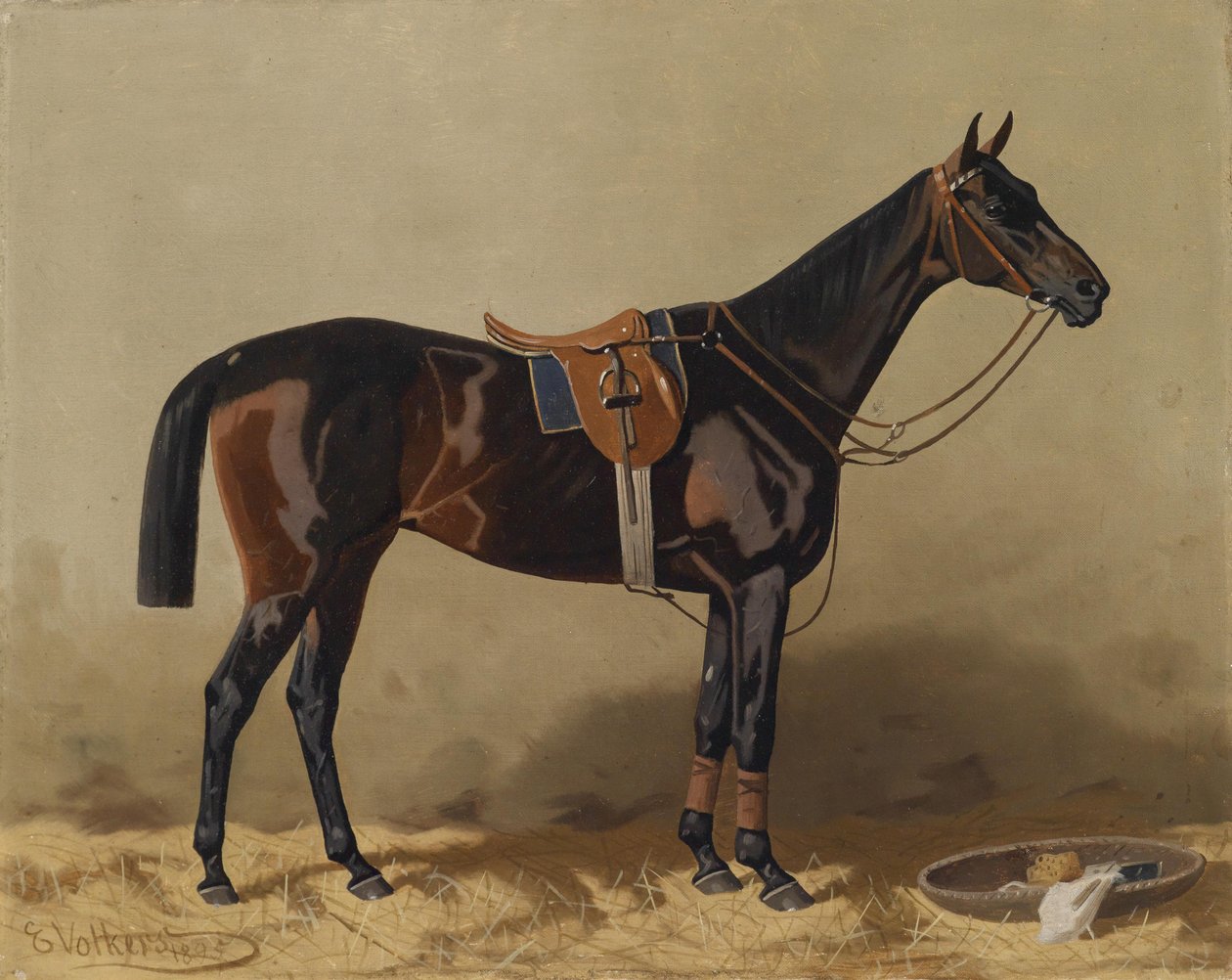 Saddled Sport Horse by Emil Volkers