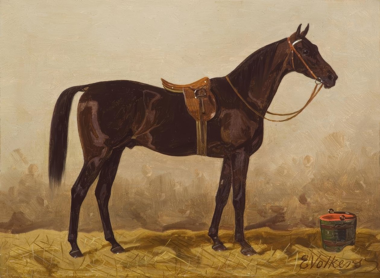 Saddled Black Horse by Emil Volkers