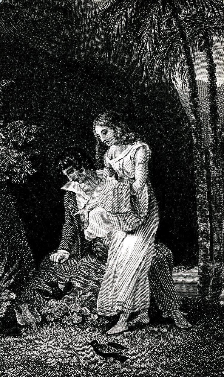 Engraving illustrating a late 19th century edition of the novel by Jacques-Henri Bernardin de Saint Pierre: Paul and Virginie. Birds come to land without fear near the young couple of lovers in the forest by Emile Antoine Bayard