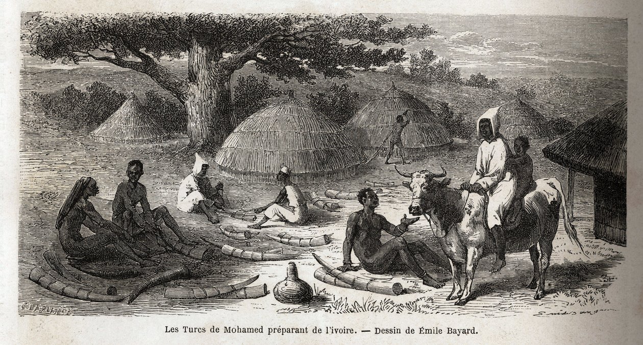 Preparation of ivory, for a Turkish trader, Uganda, drawing by Emile Bayard (1837-1891), illustrating Captain Speke