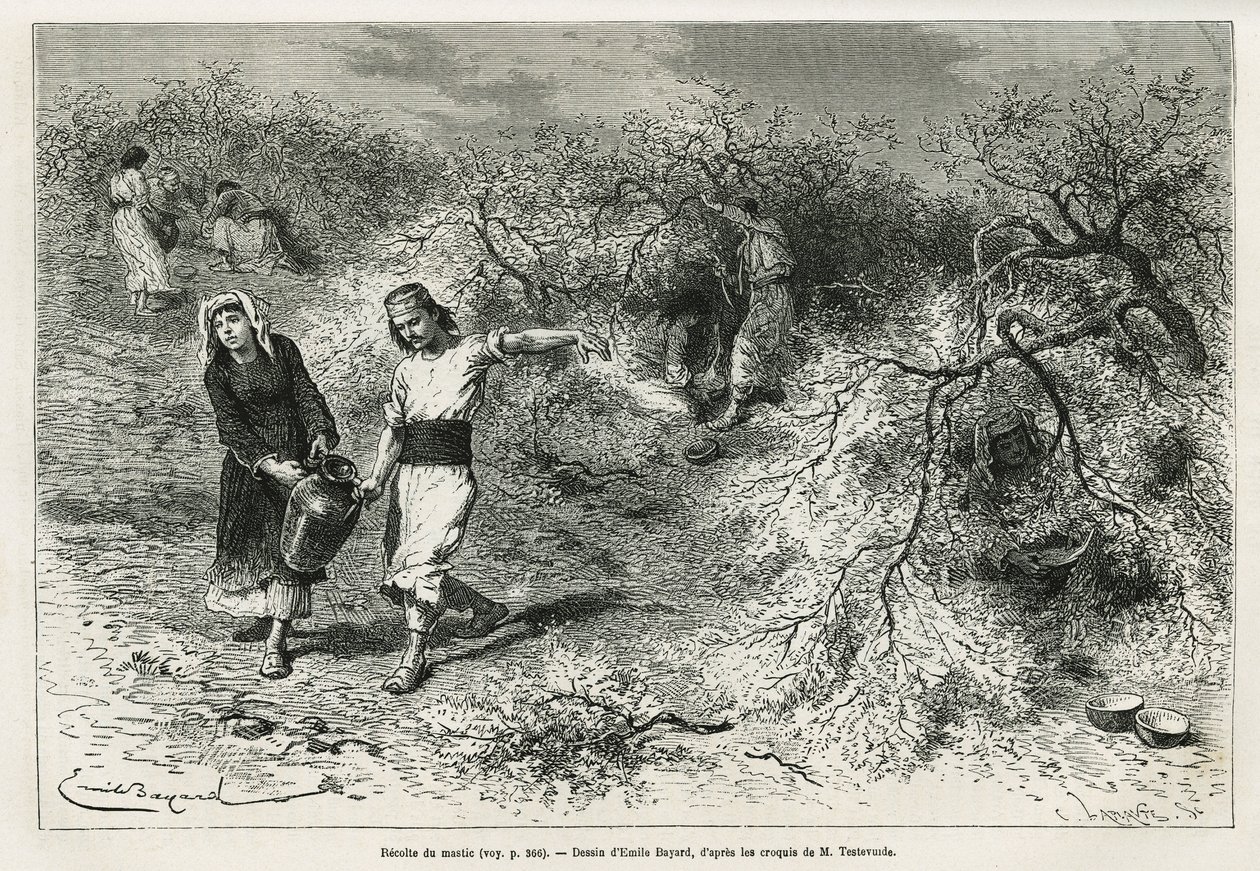 The collection of putty during the summer season (Drawing by Emile Bayard) by Emile Antoine Bayard