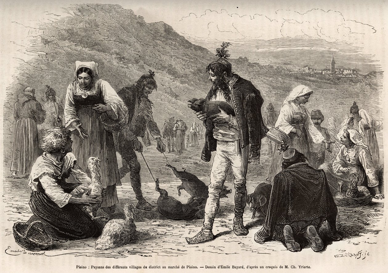 The peasants in the vicinity of Pisino (Croatia), gather for the sale of their farm products on the market: poultry, piglets..., engraving after a drawing by Emile Bayard illustrating the journey in Istria and Dalmatia, in 1874, by Charles Yriarte, publish by Emile Antoine Bayard