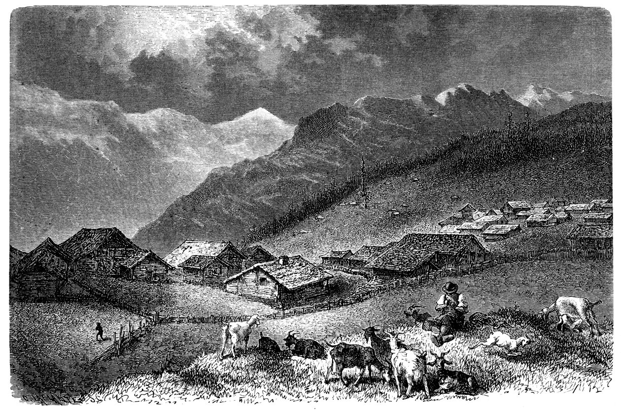 Village in the Alps. Murren, in the Bernese Oberland, altitude 1630 meters. Shepherd keeping his herd of goats and sheep. Illustration for Albert Dupaigne