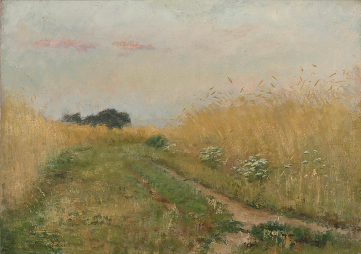 Summer Landscape - Cornfield by Emile Claus